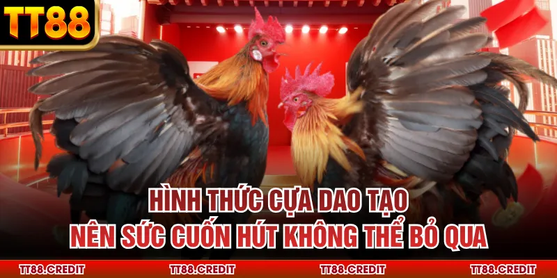 Hình thức cựa dao tạo nên sức cuốn hút không thể bỏ qua
